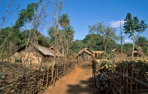 Village adivasi Village adivasi