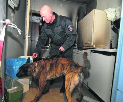 Service local des étrangers de Gottingen