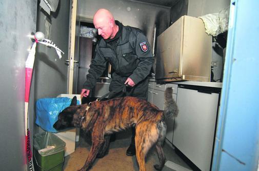 Service local des étrangers de Gottingen