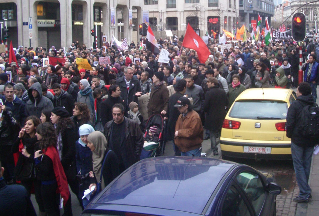 Manifestation pour la Tunisie et l'Egypte, Bruxelles, 6 février 2011