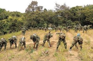 Les militaires éradique la coca dans la région d'Apolo