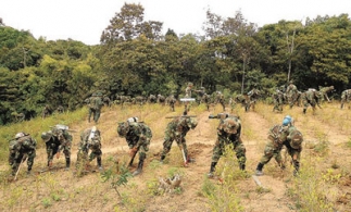 Les militaires éradique la coca dans la région d'Apolo