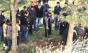 recherche d'armes istambul