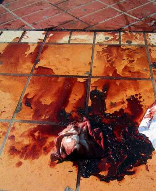 Une photo prise après la 'perquisition de Diaz' en 2001.