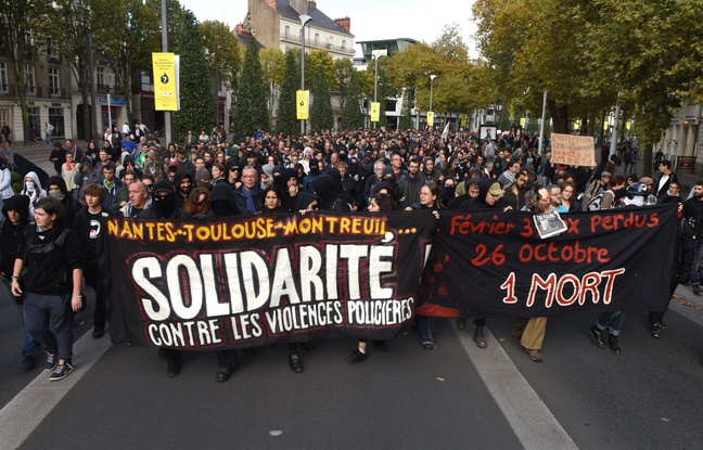 Manifestation hommage à Rémi Fraisse.