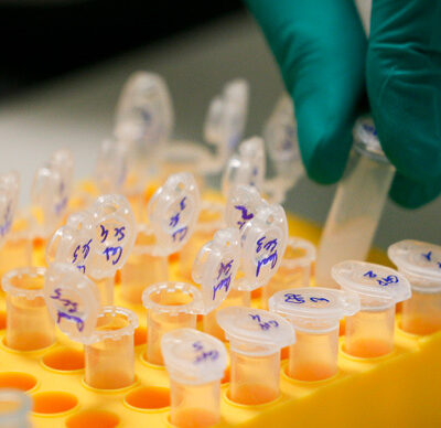 Tous les Koweitiens devront donner leur ADN à une base de données nationale