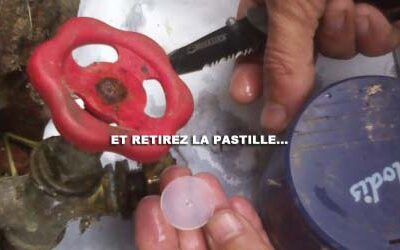 Extrait de l’article censuré