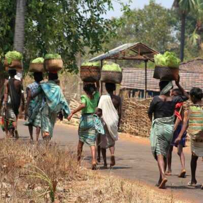 Tribaux dans le Bastar