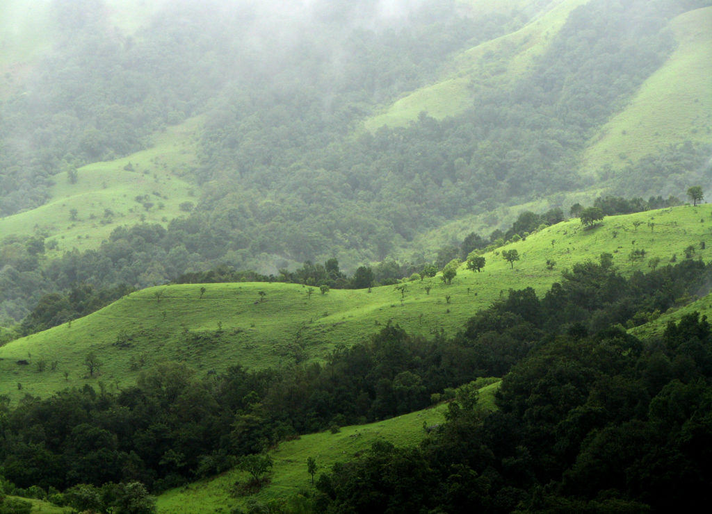 Les Western Ghats, dans le Karnakata Les Western Ghats, dans le Karnakata