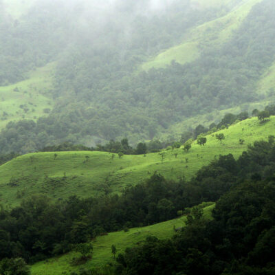 Les Western Ghats, dans le Karnakata
