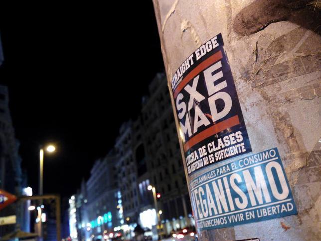 Affichage du Straight Edge Madrid