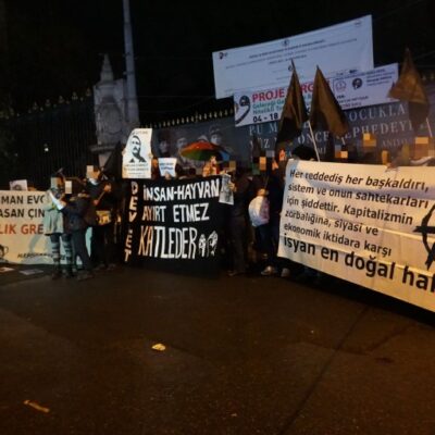 Manifestation pour Osman.