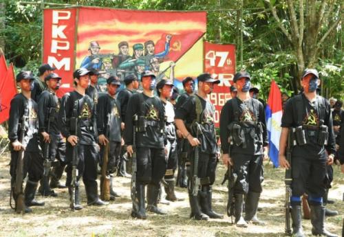 Combattants de la NPA