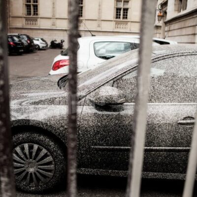 Le peinturlurage à la cour d'appel de Dijon