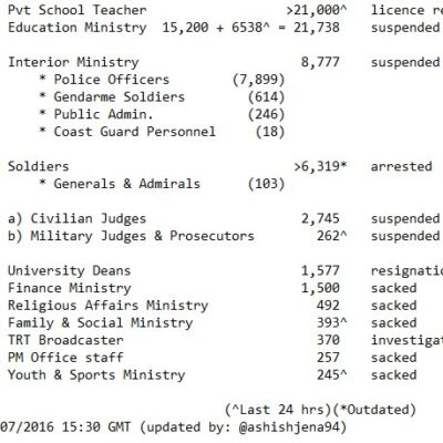 Une estimation de l'étendue des purges (20 juillet 2016)