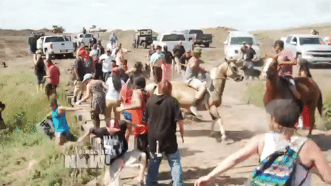 Incidents à Standing Rock 