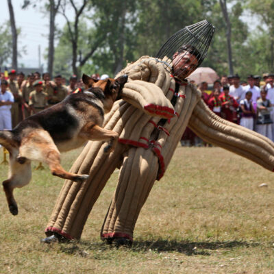 Entraînement des chiens à l'École militaire de Nagrota