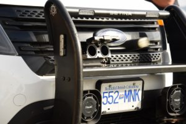 Le lanceur, noyé dans la calandre