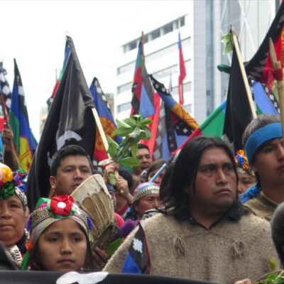 Manifestants mapuches