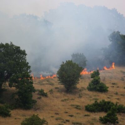 Végétation en feu au Dersim (archive)