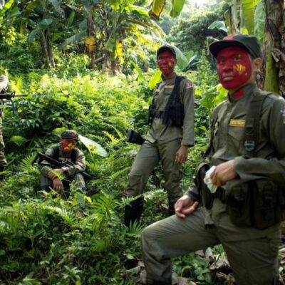 Combattants et combattantes de la NPA