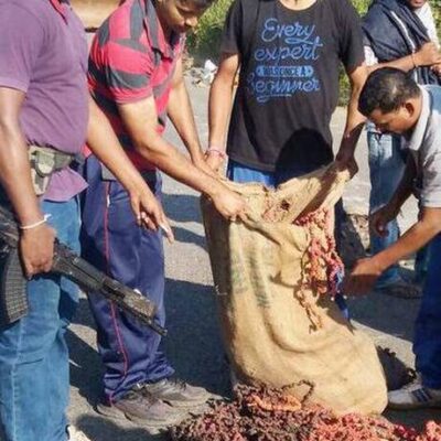 Opération de déminage