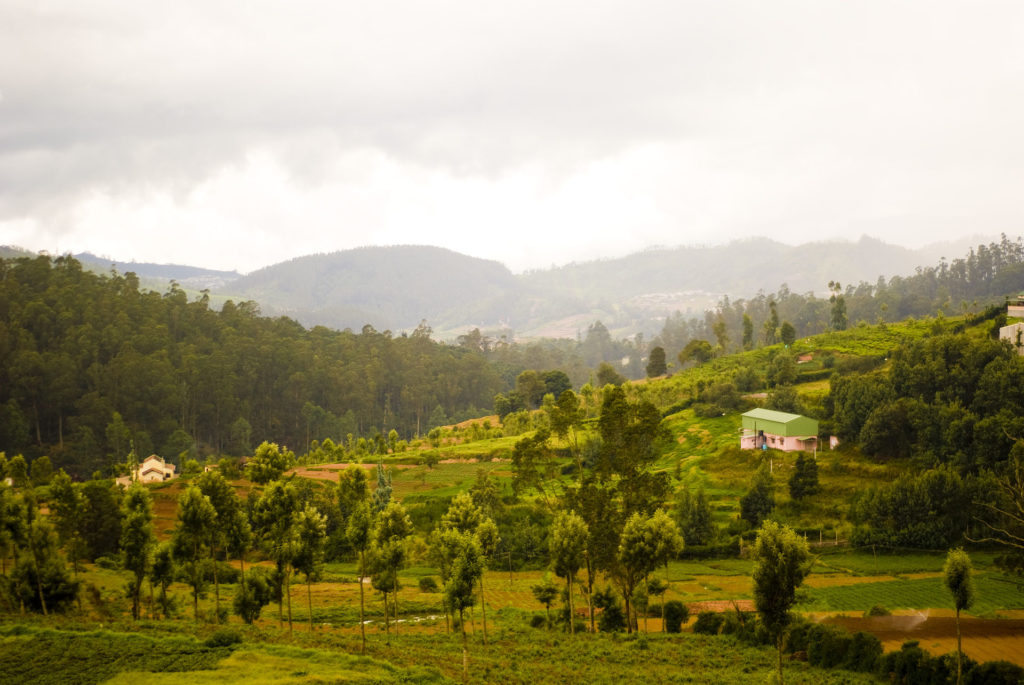 District des Nilgiris