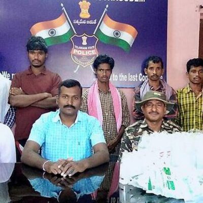 Cinq tribaux arrêtés