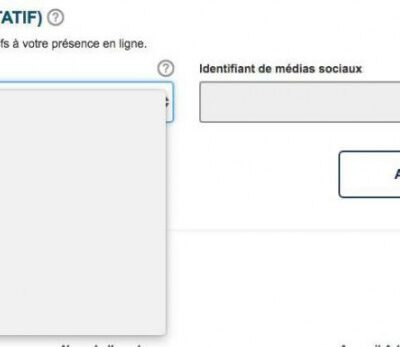 Le formulaire en ligne actuel, avec la demande