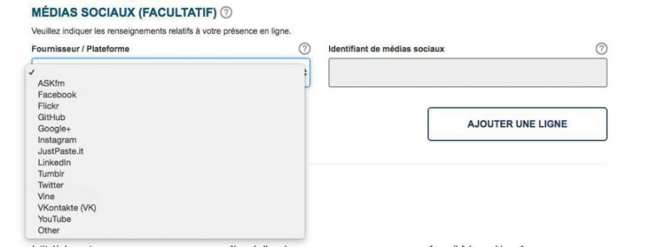 Le formulaire en ligne actuel, avec la demande 