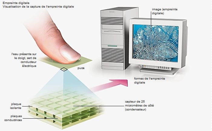 Relevé électronique d'empreinte digitale