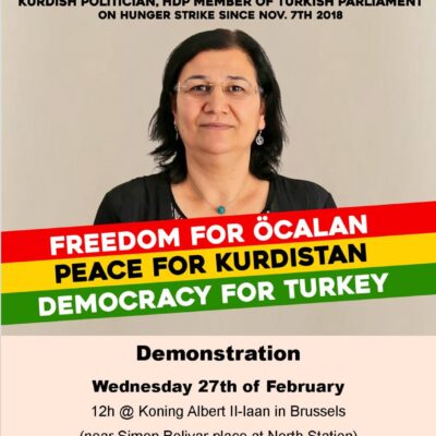 Manifestation de soutien à Leyla Güven et aux grévistes de la faim, mercredi 27 février 2019