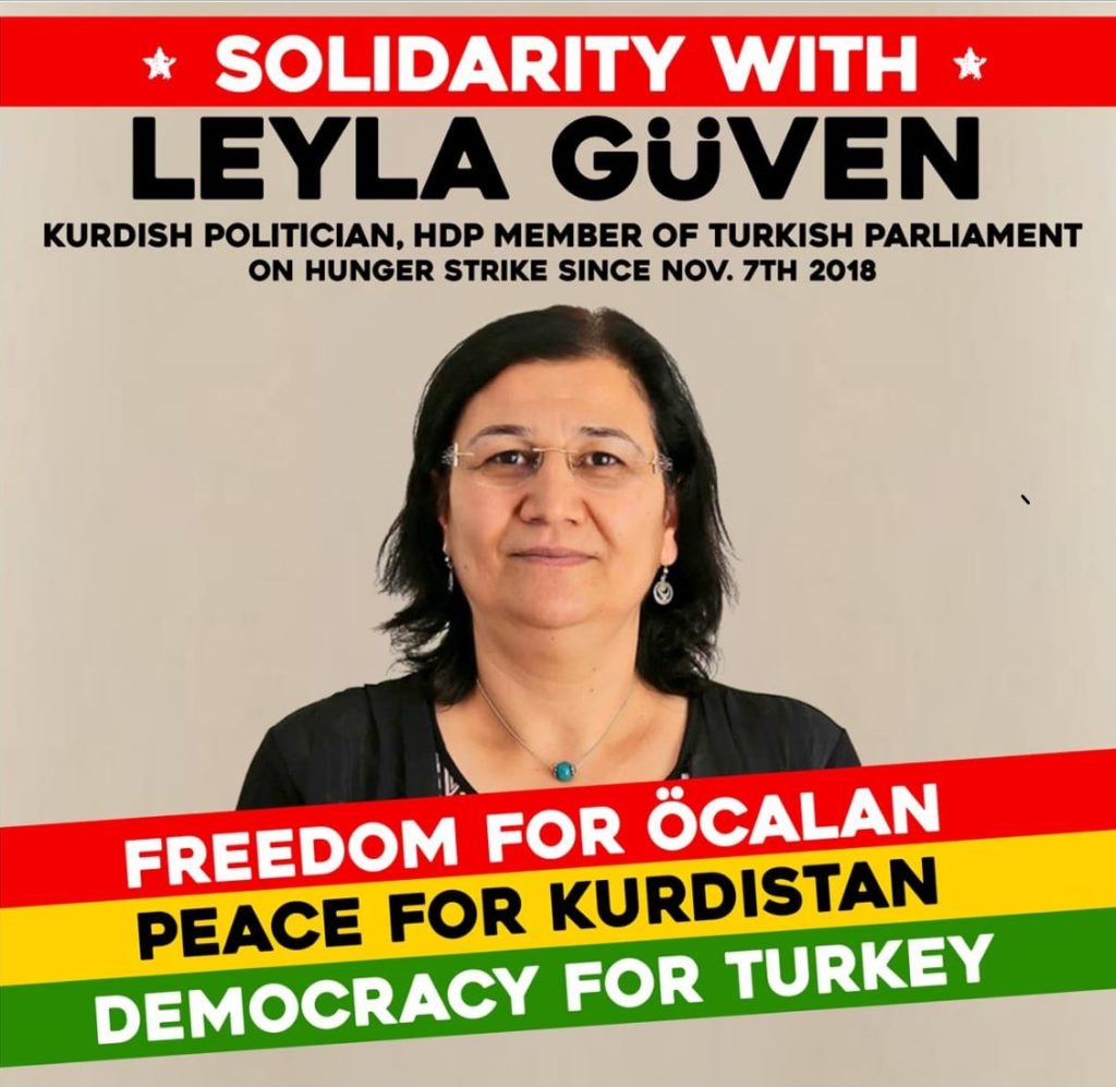 Campagne de soutien à Leyla Güven et aux grévistes de la faim (archive)