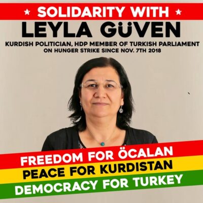 Campagne de soutien à Leyla Güven et aux grévistes de la faim (archive)
