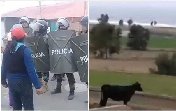 Affrontements à Islay