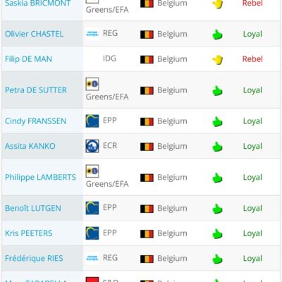le vote des eurodéputés belges