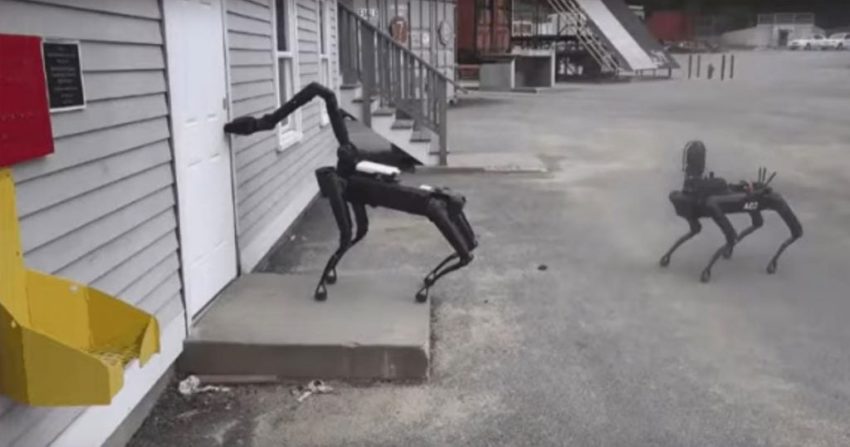 Le chien-robot de Boston Dynamics
