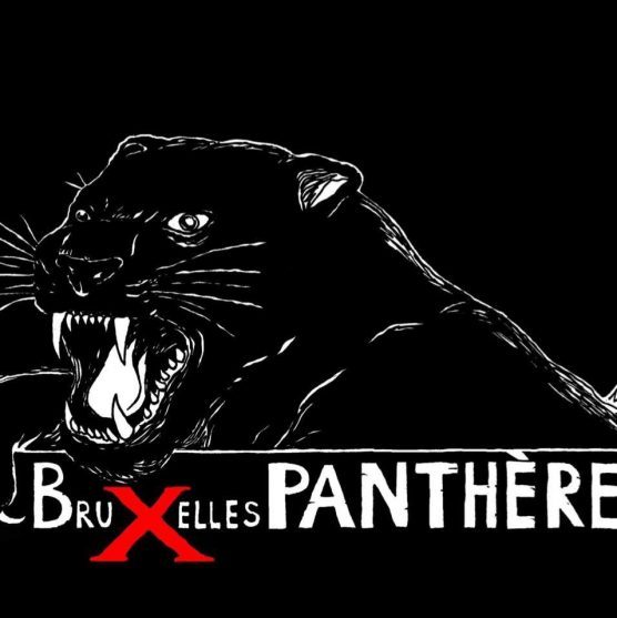 Bruxelles Panthères poursuivie en justice (archive)