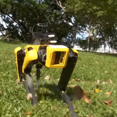 Spot déployé dans le cadre des mesures de confinement à Singapour