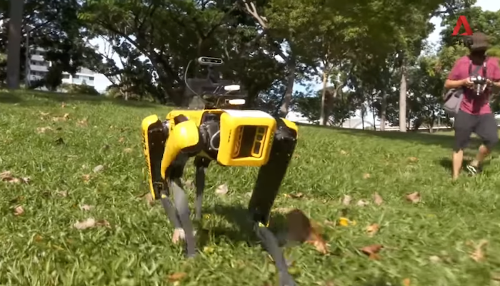 Spot déployé dans le cadre des mesures de confinement à Singapour