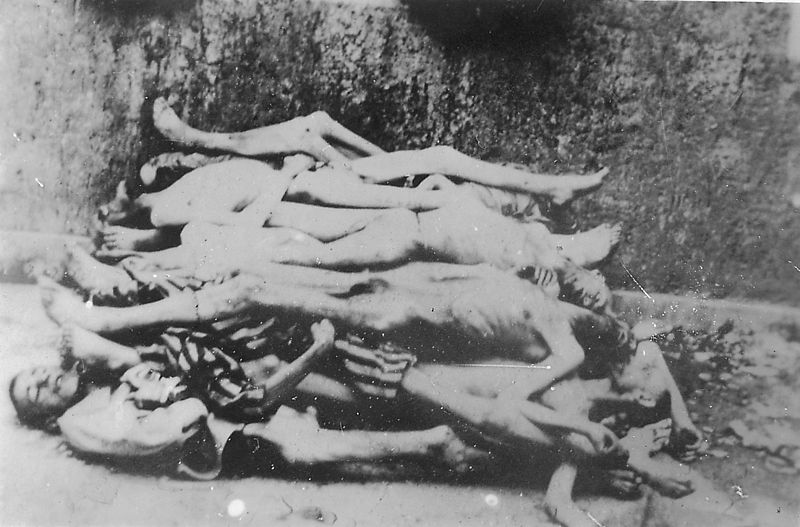 Quelques un des 60.000 déportés tués à Buchenwald