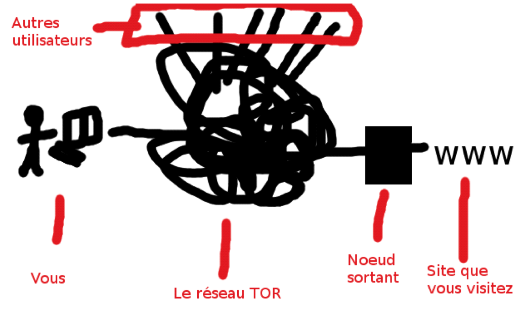 Infographie TOR